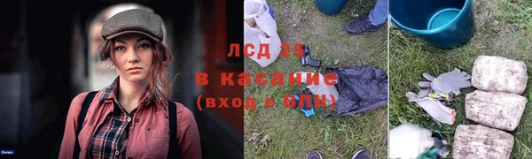мяу мяу кристалл Алексин