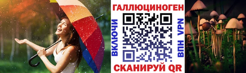 Псилоцибиновые грибы Cubensis  Калач-на-Дону 