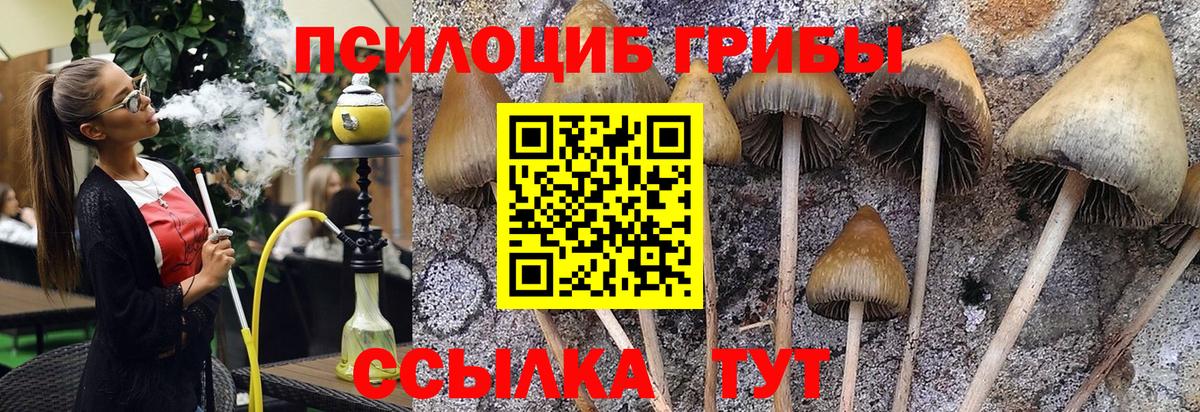 Псилоцибиновые грибы мухоморы  Вход с VPN  где найти   Калач-на-Дону 